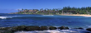Runaway To San Diego - A service of Elope to San Diego™ | (619) 66-ELOPE | (619) 663-5673